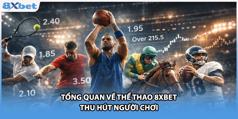 Tổng quan về thể thao 8xbet thu hút người chơi